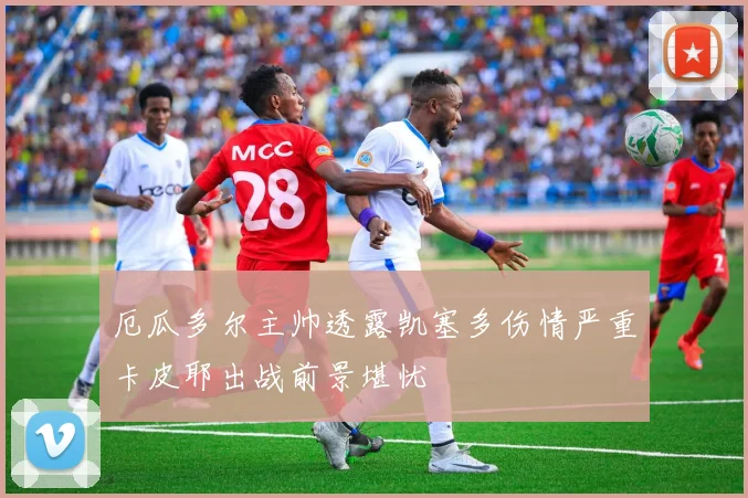 厄瓜多尔主帅透露凯塞多伤情严重卡皮耶出战前景堪忧