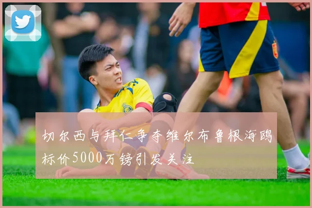 切尔西与拜仁争夺维尔布鲁根海鸥标价5000万镑引发关注