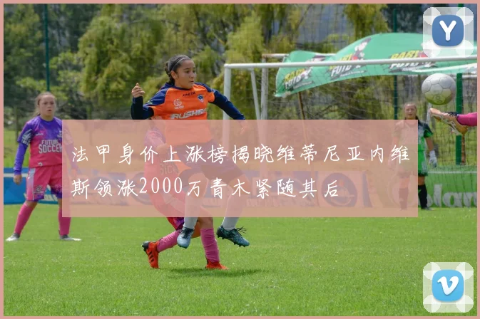 法甲身价上涨榜揭晓维蒂尼亚内维斯领涨2000万青木紧随其后