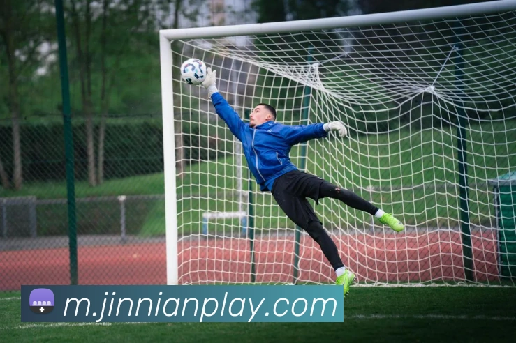 金年会APP 封面图